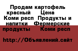 Продам картофель красный.  › Цена ­ 17 - Коми респ. Продукты и напитки » Фермерские продукты   . Коми респ.